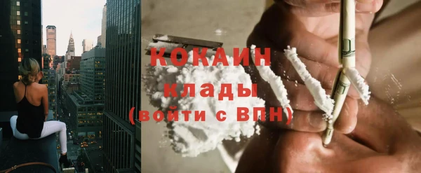 МДПВ Бородино