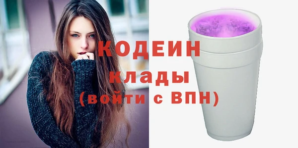 МДПВ Бородино