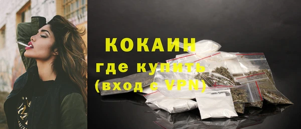 гидра Бронницы