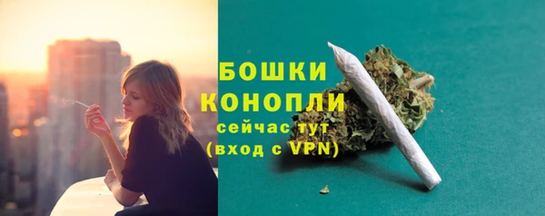 гидра Бронницы