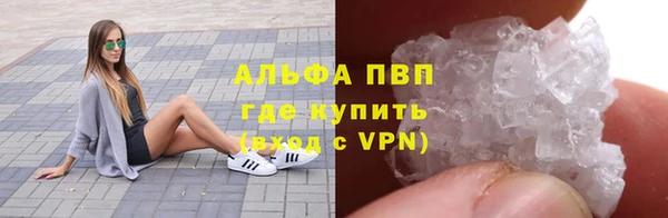 гидра Бронницы