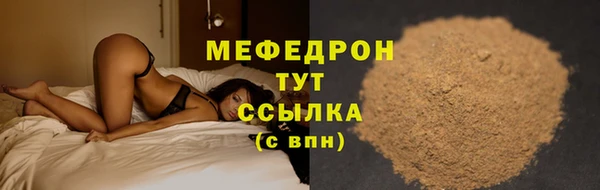 МДПВ Бородино
