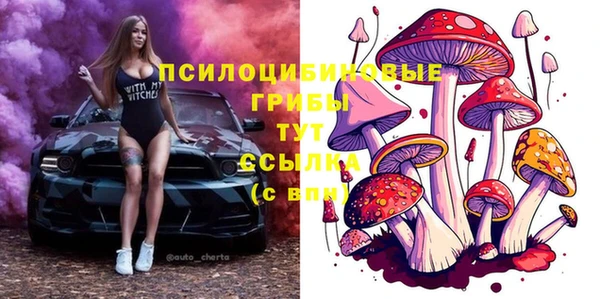 МДПВ Бородино