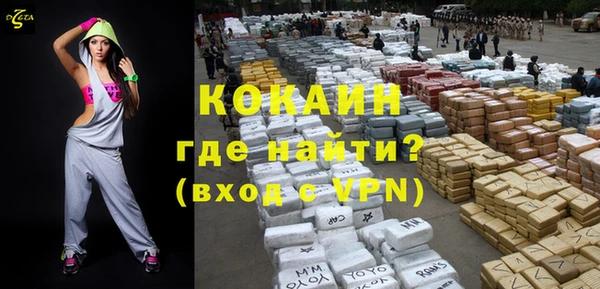 гидра Бронницы