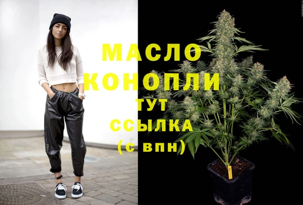 МДПВ Бородино
