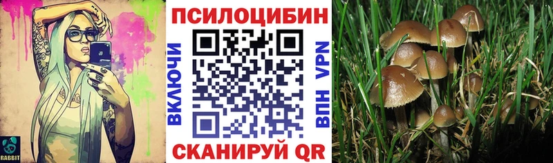 OMG как войти  Кинель  Галлюциногенные грибы MAGIC MUSHROOMS 