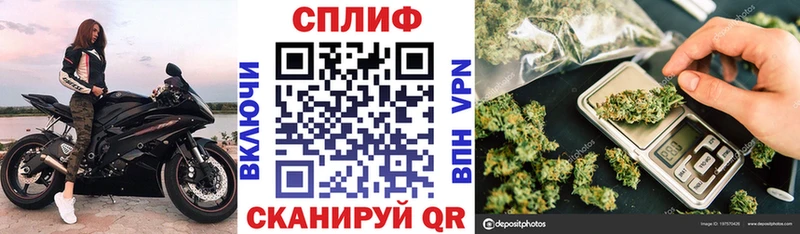 Шишки марихуана планчик Кинель